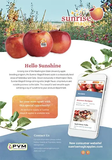 Sunrise Magic® Sales Sheet